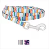 Frisco Patterned Polyester Dog Leash
