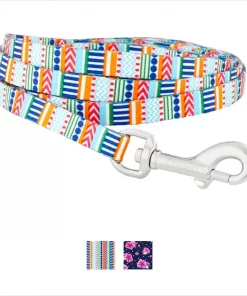 Frisco Patterned Polyester Dog Leash