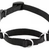 Frisco Solid Nylon Martingale Dog Collar with Buckle