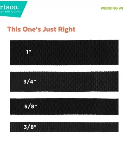 Frisco Solid Nylon Martingale Dog Collar with Buckle -The Frisco Store 139159 PT6. SY630 V1628869376