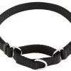 Frisco Solid Nylon Slip-On Martingale Dog Collar -The Frisco Store 139163 Main. SY630 V1582829023