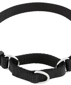 Frisco Solid Nylon Slip-On Martingale Dog Collar