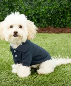 Frisco Classic Dog Polo Shirt -The Frisco Store 139455 PT6. SY630 V1541454212