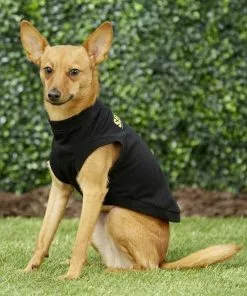 Frisco Security Dog & Cat T-Shirt -The Frisco Store 139500 PT6. SY630 V1624615676