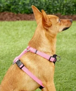 Frisco Padded Nylon No Pull Dog Harness -The Frisco Store 140003 PT5. SY630 V1561574033