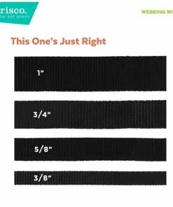 Frisco Patterned Nylon Dog Leash -The Frisco Store 140045 PT6. SY630 V1630006358