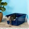 Frisco High Sided Cat Litter Box, Extra Large 24-in -The Frisco Store 141371 MAIN. SY630 V1565285129