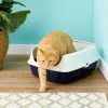 Frisco Open Top Cat Litter Box With Rim, Large 19-in -The Frisco Store 141377 MAIN. SY630 V1565284941