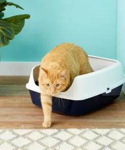 Frisco Open Top Cat Litter Box With Rim, Large 19-in