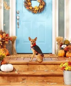 Frisco Vampire Cape Dog & Cat Costume -The Frisco Store 144487 PT3. SY630 V1567175264