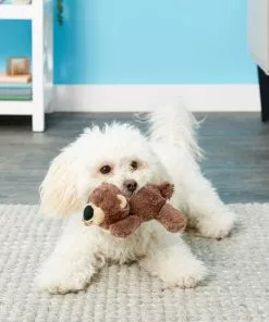 Frisco Plush Squeaking Bear Dog Toy -The Frisco Store 146979 PT1. SY630 V1539205036