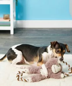 Frisco Plush with Rope Squeaking Monkey Dog Toy 7 Frisco Plush with Rope Squeaking Monkey Dog Toy -The Frisco Store 147067 PT1. SY630 V1539286324