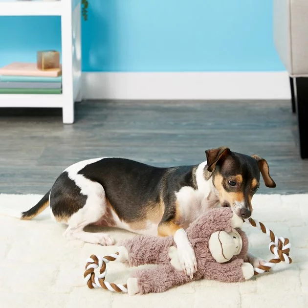 Frisco Plush with Rope Squeaking Monkey Dog Toy 4 Frisco Plush with Rope Squeaking Monkey Dog Toy - Image 2