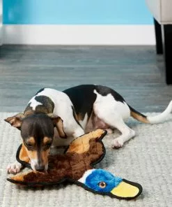 Frisco Flat Plush Squeaking Duck Dog Toy -The Frisco Store 147069 PT2. SY630 V1589405472