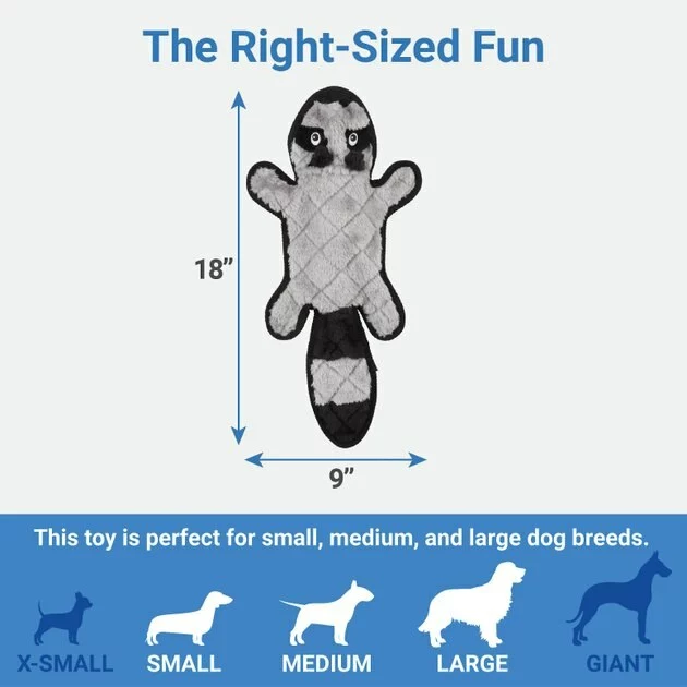 Frisco Flat Plush Squeaking Raccoon Dog Toy 4 Frisco Flat Plush Squeaking Raccoon Dog Toy - Image 2