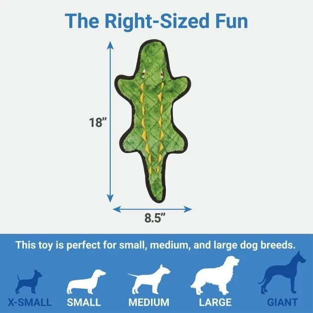 Frisco Flat Plush Squeaking Alligator Dog Toy 4 Frisco Flat Plush Squeaking Alligator Dog Toy - Image 2