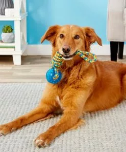 Frisco Rope with Squeaking Ball Dog Toy -The Frisco Store 147098 PT1. SY630 V1539366735