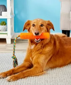 Frisco Rope with Handle Grip Dog Toy 6 Frisco Rope with Handle Grip Dog Toy -The Frisco Store 147102 PT1. SY630 V1539286334