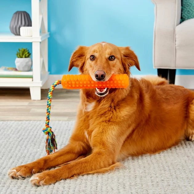 Frisco Rope with Handle Grip Dog Toy 4 Frisco Rope with Handle Grip Dog Toy - Image 2