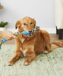 Frisco Rope with Double Handle Grip Dog Toy -The Frisco Store 147106 PT1. SY630 V1539206419