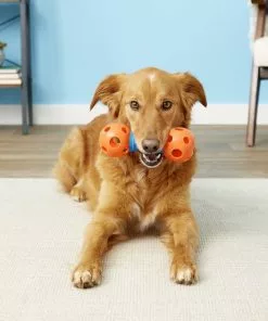 Frisco Rubber Dumbbell Dog Toy -The Frisco Store 147108 PT1. SY630 V1539367927
