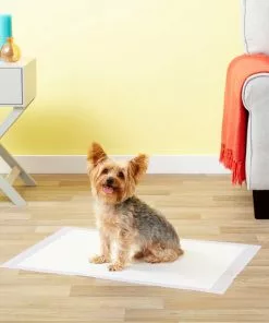 Frisco Dog Training Pads, 21 x 21-in, 100 count, Floral Scented -The Frisco Store 149818 PT6. SY630 V1624485161