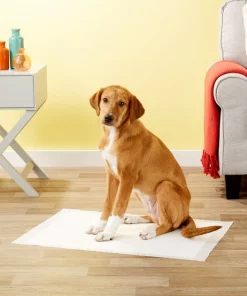 Frisco Dog Training Pads, 21 x 30-in, 30 count, Floral Scented -The Frisco Store 149820 PT6. SY630 V1624495383