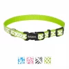 Frisco Patterned Polyester Reflective Dog Collar -The Frisco Store 151018 MAIN. SY630 V1619126216