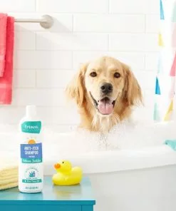 Frisco Anti-Itch Dog Shampoo with Aloe, Unscented -The Frisco Store 152577 PT2. SY630 V1551302907
