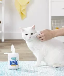 Frisco Moisturizing Tear Stain Wipes with Aloe for Dogs & Cats -The Frisco Store 152585 PT5. SY630 V1556122637