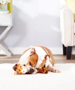 Frisco Bungee Plush Squeaking Giraffe Dog Toy -The Frisco Store 152822 PT3. SY630 V1549654950