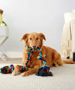 Frisco Rope with 5 Knots Dog Toy -The Frisco Store 152836 PT2. SY630 V1549655007