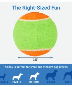 Frisco Fetch Squeaking Colorful Tennis Ball Dog Toy, 3-Pack -The Frisco Store 152846 PT1. SY630 V1549658012