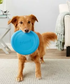 Frisco Fetch Rubber Flyer Dog Toy -The Frisco Store 152848 PT2. SY630 V1549655092