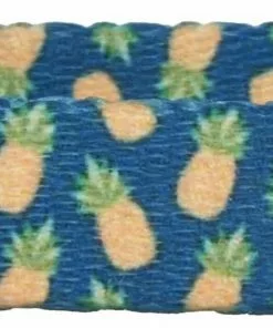 Frisco Pineapple Polyester Breakaway Cat Collar with Bell -The Frisco Store 153158 PT3. SY630 V1568380088 scaled