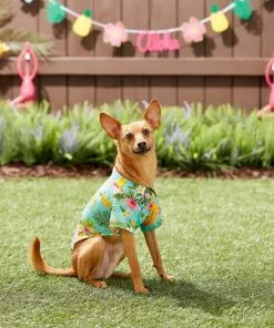 Frisco Pineapple Hawaiian Camp Dog & Cat Shirt -The Frisco Store 153596 PT7. SY630 V1644884316