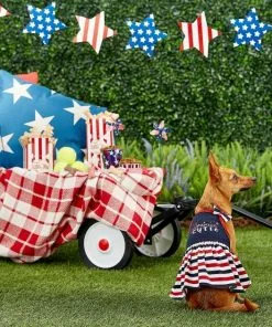 Frisco American Cutie Dog & Cat Sundress -The Frisco Store 153735 PT4. SY630 V1633126624