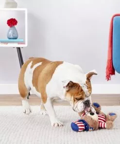 X-Frisco Plush Squeaking American Flag Bear Dog Toy, 2020 -The Frisco Store 157187 PT2. SY630 V1559764047