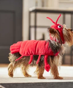Frisco Red Lobster Dog & Cat Costume -The Frisco Store 158722 PT6. SY630 V1659023722