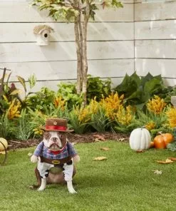 Frisco Front Walking Cowboy Dog & Cat Costume 12 Frisco Front Walking Cowboy Dog & Cat Costume -The Frisco Store 158837 PT3. SY630 V1567176011