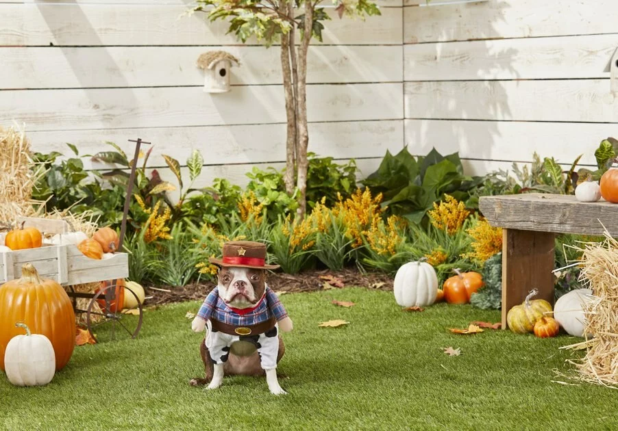 Frisco Front Walking Cowboy Dog & Cat Costume 6 Frisco Front Walking Cowboy Dog & Cat Costume - Image 4