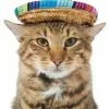 Frisco Dog & Cat Sombrero Hat -The Frisco Store 158881 MAIN. SY630 V1625076472