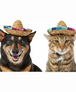 Frisco Dog & Cat Sombrero Hat -The Frisco Store 158881 PT2. SY630 V1625076485