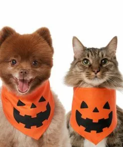 Frisco Jack O' Lantern Pumpkin Dog & Cat Hoodie
