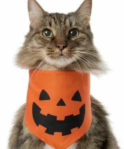 Frisco Jack O' Lantern Pumpkin Dog & Cat Bandana -The Frisco Store 158934 PT2. SY630 V1637646424