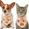 Frisco Mommy's Lil Pumpkin Dog & Cat Bandana 2 Frisco Mommy's Lil Pumpkin Dog & Cat Bandana -The Frisco Store 158936 MAIN. SY630 V1633068697