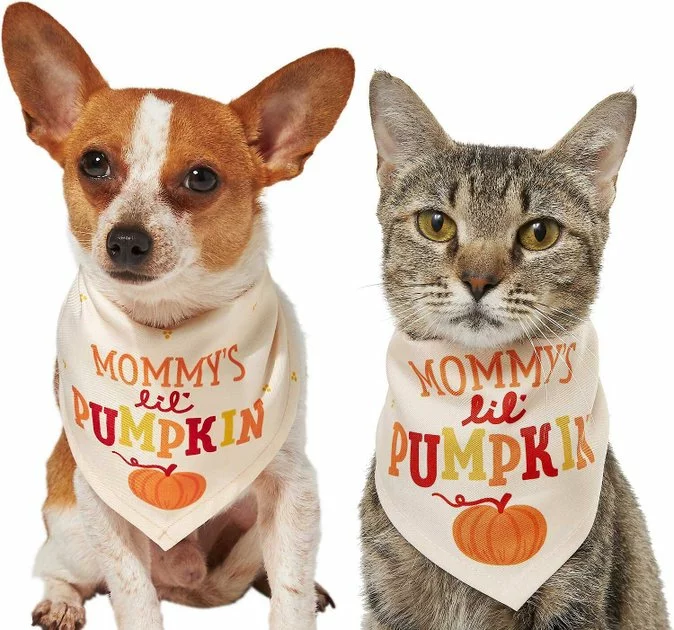 Frisco Mommy's Lil Pumpkin Dog & Cat Bandana 3 Frisco Mommy's Lil Pumpkin Dog & Cat Bandana