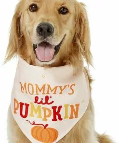 Frisco Mommy's Lil Pumpkin Dog & Cat Bandana 10 Frisco Mommy's Lil Pumpkin Dog & Cat Bandana -The Frisco Store 158936 PT3. SY630 V1633078003