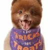 Frisco I Do Tricks For Treats Dog & Cat Bandana 2 Frisco I Do Tricks For Treats Dog & Cat Bandana -The Frisco Store 158938 MAIN. SY630 V1633728989