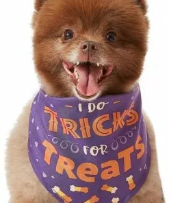 Frisco I Do Tricks For Treats Dog & Cat Bandana 10 Frisco I Do Tricks For Treats Dog & Cat Bandana -The Frisco Store 158938 PT3. SY630 V1633075903